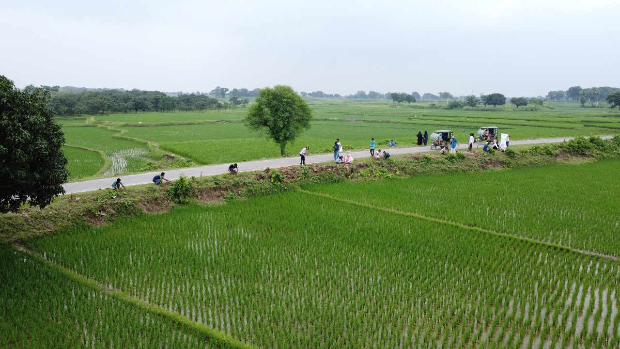 Counter Climate Change Project